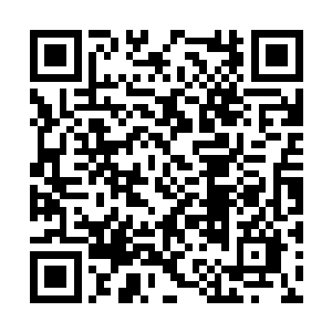 如果要是二号傀儡知道一号傀儡用这样的方式爱她二维码生成