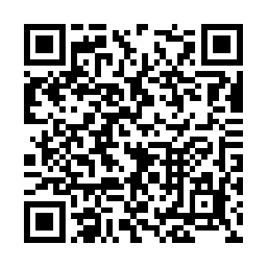 如果要是他的实力快速的提升到神帝小圆满的实力二维码生成