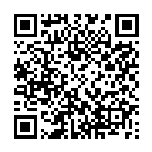 如果要是疤脸只为了填饱肚子的话岛上可吃的东西太多了二维码生成