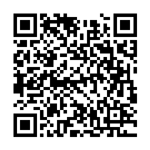 如果要是让他们知道就在他们前往的这片岛屿之上二维码生成