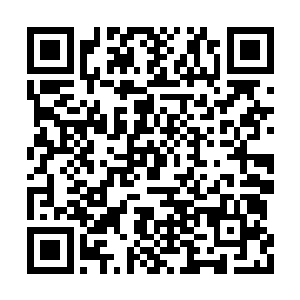 如果要说清楚马晓茹和贾阳之间到底发生了什么二维码生成