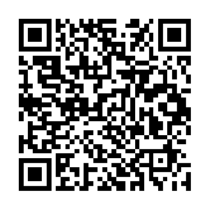 如果让京都学院里那些爱慕唐三十六的少女们看到他的吃像二维码生成