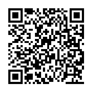 如果让他们知道在他们心里堪称无敌的嫡系师兄二维码生成