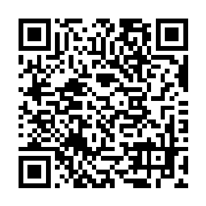 如果让外人知道伊布拉希莫维奇竟然在和荣光比这个二维码生成