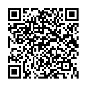 如果让自己去和索尼公司谈摄像头专利器件的授权生产合同二维码生成