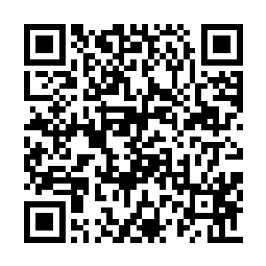 如果让苗毅知道秦薇薇还是成了自己的顶头上司二维码生成