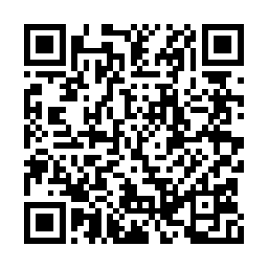 如果许紫烟是上古许家多灵根那一族还情有可原二维码生成