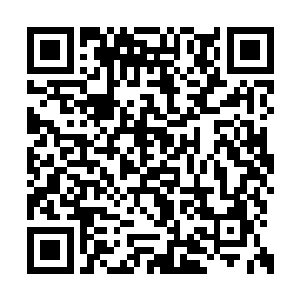 如果说一切都按照之前库尔德人拼死抵抗的心态二维码生成