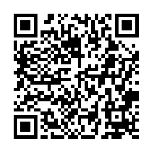 如果说一开始还知道个别几个人知道苏落要争第一名的话二维码生成