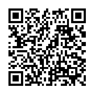 如果说不是因为晚上的时候要见六大家族的人呢二维码生成