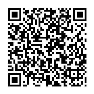 如果说东西南三位天王还要考虑代行者的境界在万宝天中可能遭遇的风险二维码生成