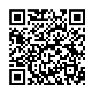 如果说之前他们还想要继续让夏天为他们所用二维码生成