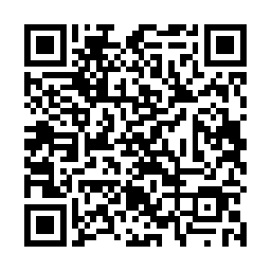 如果说之前他对流墨墨的观感是一个天才化神期修仙者二维码生成