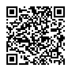 如果说之前暗鸣宗主天为棋盘星为子的境界让他们震惊二维码生成