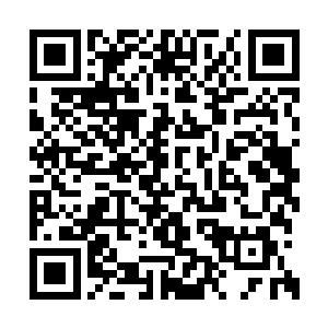 如果说他要插足其他的长老肯定不会和他相争的二维码生成