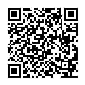 如果说以前她刚被流墨墨救了的时候还对她有些亲近二维码生成