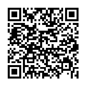 如果说兰开斯特为了维护病人安静的休息环境而发火二维码生成