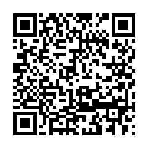 如果说凌菲以前的治疗是出自做为一个祭祀的责任二维码生成