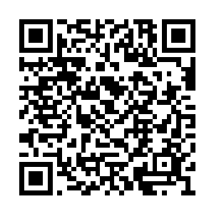 如果说几个小时前秦芳还是一个单纯的的女孩子二维码生成