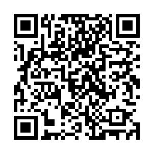 如果说刚才仲华还有点不明白陶成军调查丁二狗是什么意思二维码生成