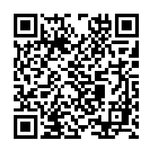 如果说别的女演员走这段不长的红地毯是慢走的话二维码生成