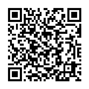 如果说化神期和元婴期的修真者之间还有可比性的话二维码生成