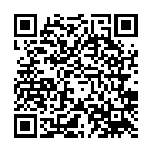 如果说北方首都的示威活动大量的夹杂政治诉求和中老年人二维码生成
