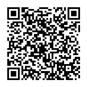 如果说单政委仍然觉得陆某人没有资格过问这个案子第一手的情况二维码生成