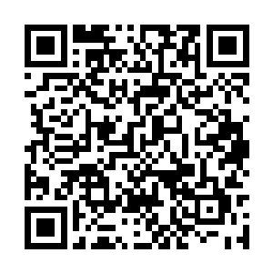 如果说原本熊成朝在公司内部还是有一些朋友的话二维码生成