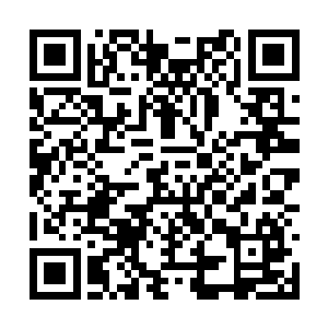 如果说原来的火种还只是一团漂浮在灵海上的火焰二维码生成