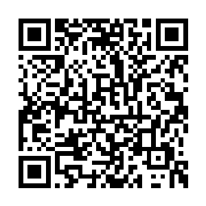 如果说另一个汤姆演技能打六十分的及格分的话二维码生成