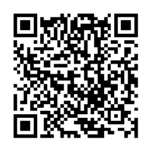 如果说哪个龙族最不愿意让太古焚龙一族崛起的话二维码生成