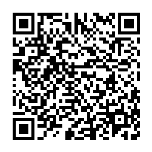如果说在场的十个孩子里只能有一个人会被仙云宗顺利的收为弟子二维码生成