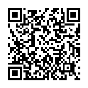 如果说夏云杰是从口袋中取出玉石绝对逃不过她的视线二维码生成