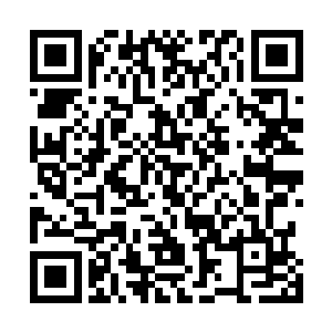 如果说小辣椒之前觉得秦方换马跟她比赛是看不起她的话二维码生成