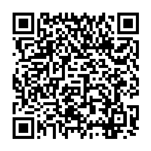 如果说布加迪威龙就像一个戴着玫瑰金运动型腕表穿着休闲西装的富家子弟二维码生成