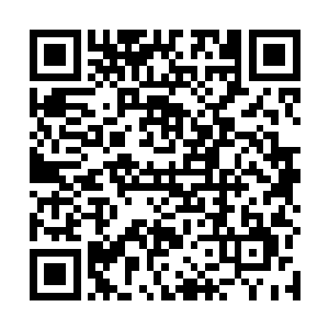 如果说张家和尤家能够证明本身没有任何的问题和状况二维码生成