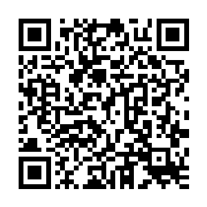 如果说当年苗毅未能杀掉她是因为手下人及时将她救走了的话二维码生成