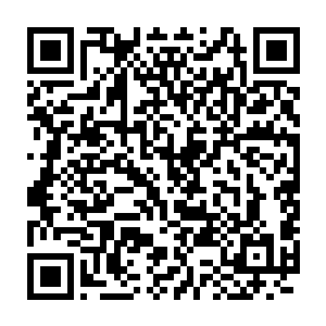 如果说当晚从元家拿了东西回来才导致有人破了阵法的想偷什么的话二维码生成