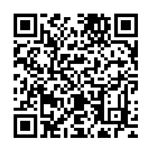 如果说整个费南还有那么一群人能够对马文做出一些指点的话二维码生成