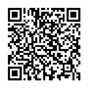 如果说有什么能够让生存于那个久远时代的猛兽们全部消失的话二维码生成