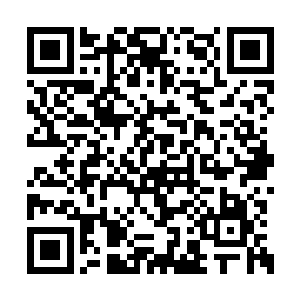 如果说李姝说的话像是漫天弥漫翻腾滚滚的乌云二维码生成