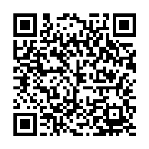 如果说柳红袖是天生适合在青楼醉卧人生的浪荡之人二维码生成