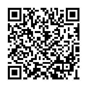 如果说每一代的龙凤二族还有九品圣灵坐镇的话二维码生成