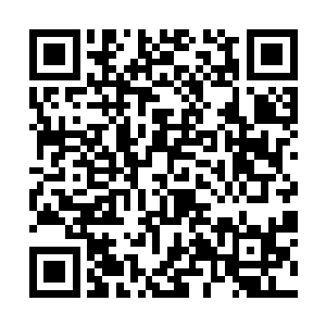 如果说洪荒界的诸多道术更加注重法则和元素的力量二维码生成