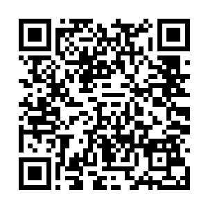 如果说淬体境六层全力一拳能打出两百斤力道的话二维码生成