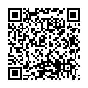 如果说熙公主在西凉女国是地位一人之下万人之上的话二维码生成