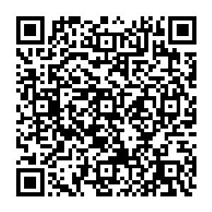如果说王城就是大坤王室的主宰之地那么东圣分殿就是凌驾于王室之上的超绝存在二维码生成