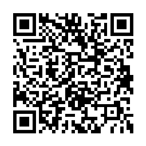 如果说现在这种场面苏凡还能让云思凡接受的话二维码生成