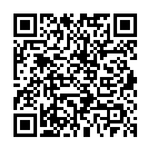如果说省委书记的手脚又喜欢伸得长喜欢插手政府这边工作的话二维码生成